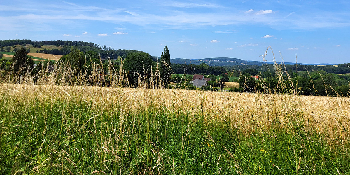 NERVlotho 7 panoramablick