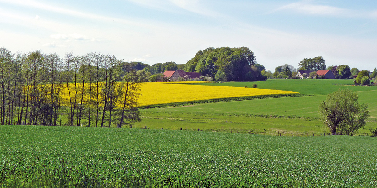 Das Ravensberger Huegelland Spenge bshf